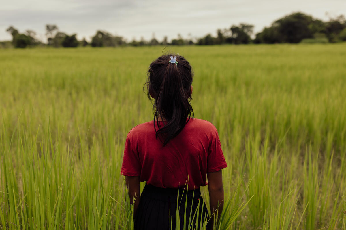 A young girl stands in a field, her back is to the camera