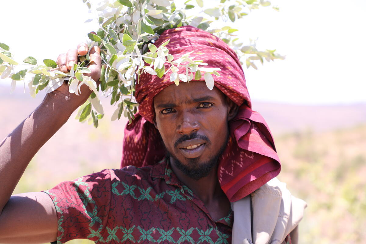A man holds some plants to his head
