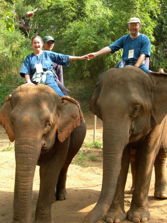 Two people hold hands as they ride elephants