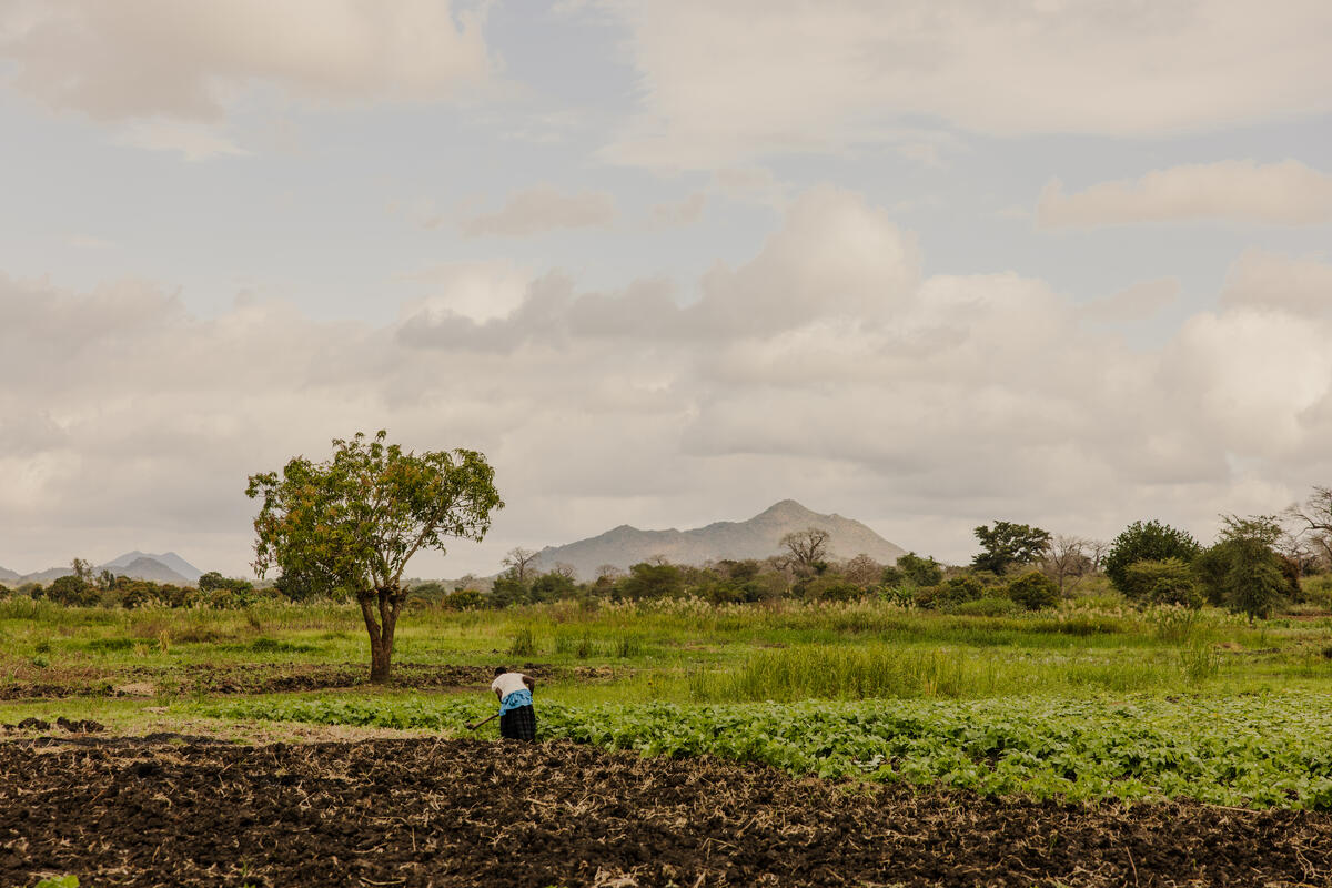 A woman farming in Malawi