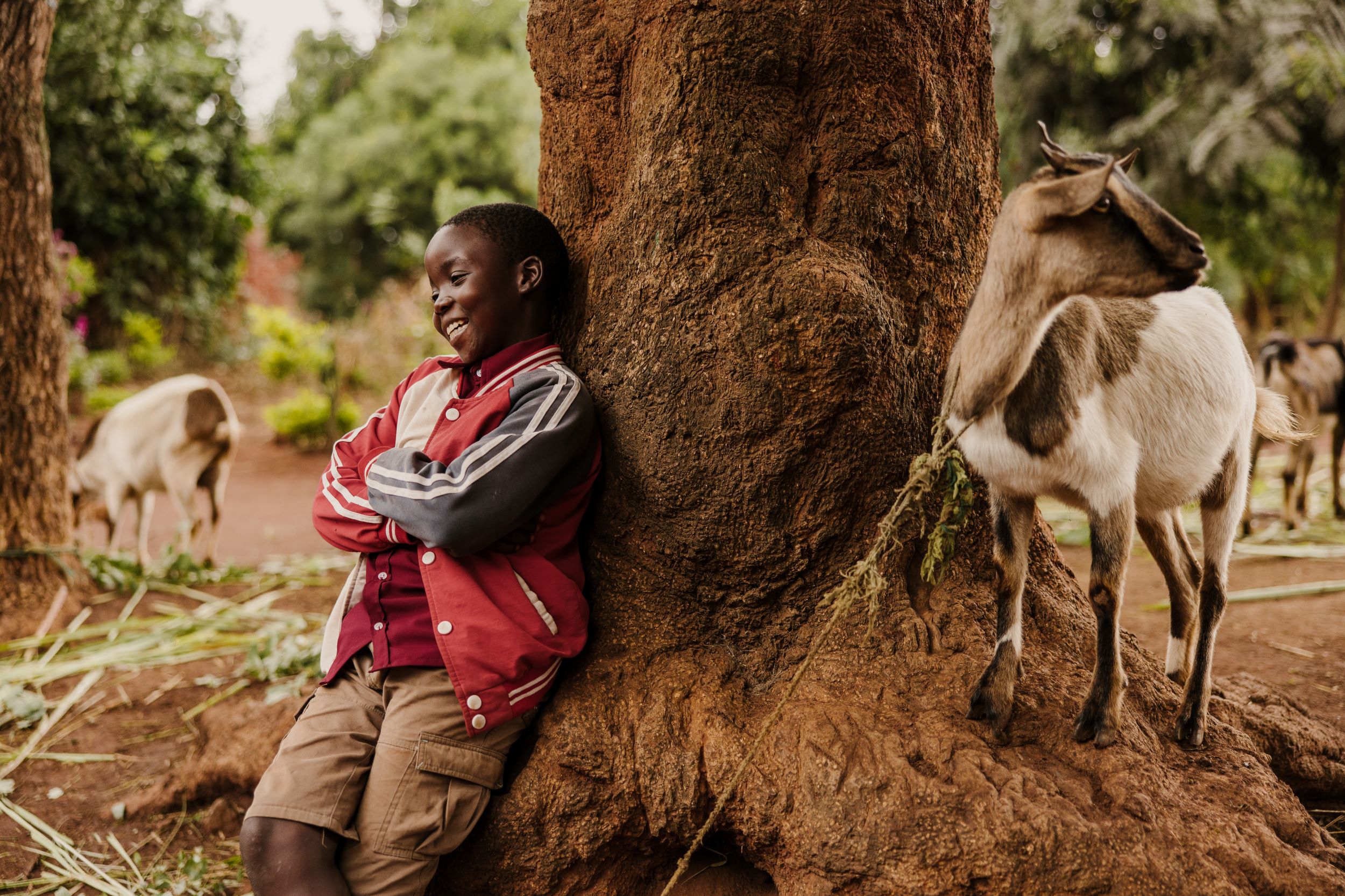 Boy in Malawi pictured leaning against a tree with one of his family’s goats
