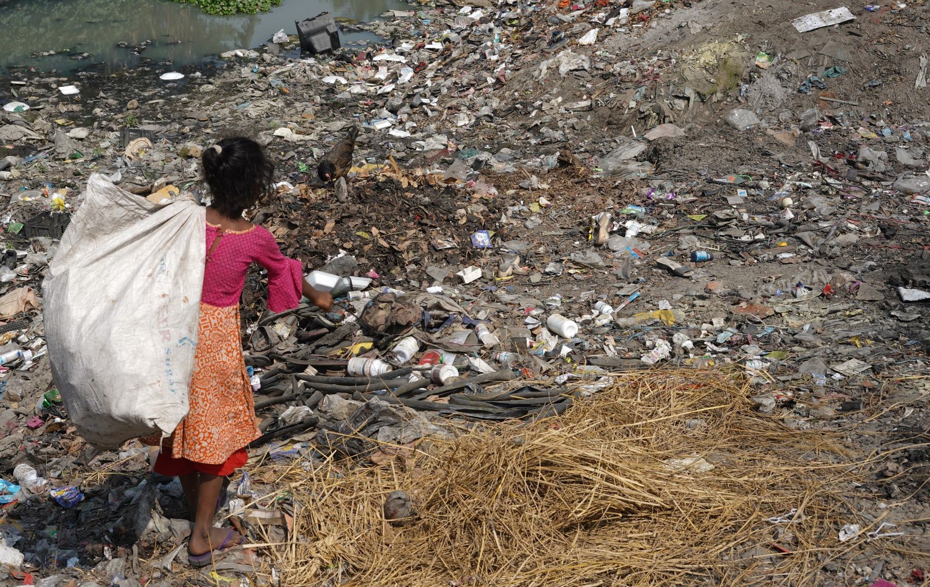 Girl collecting rubbish in Bangladesh