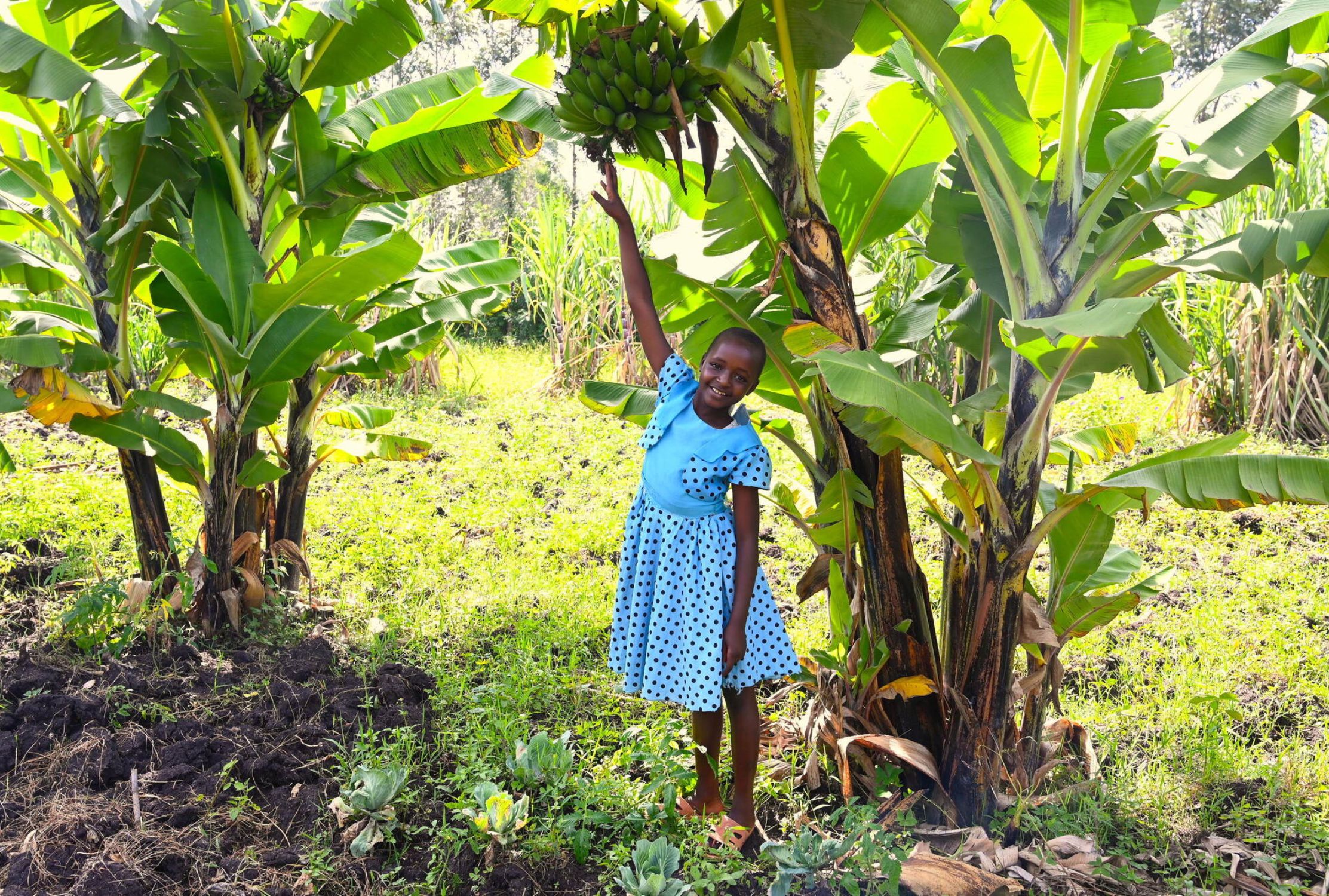 Kenyan girl pointing to banana crops