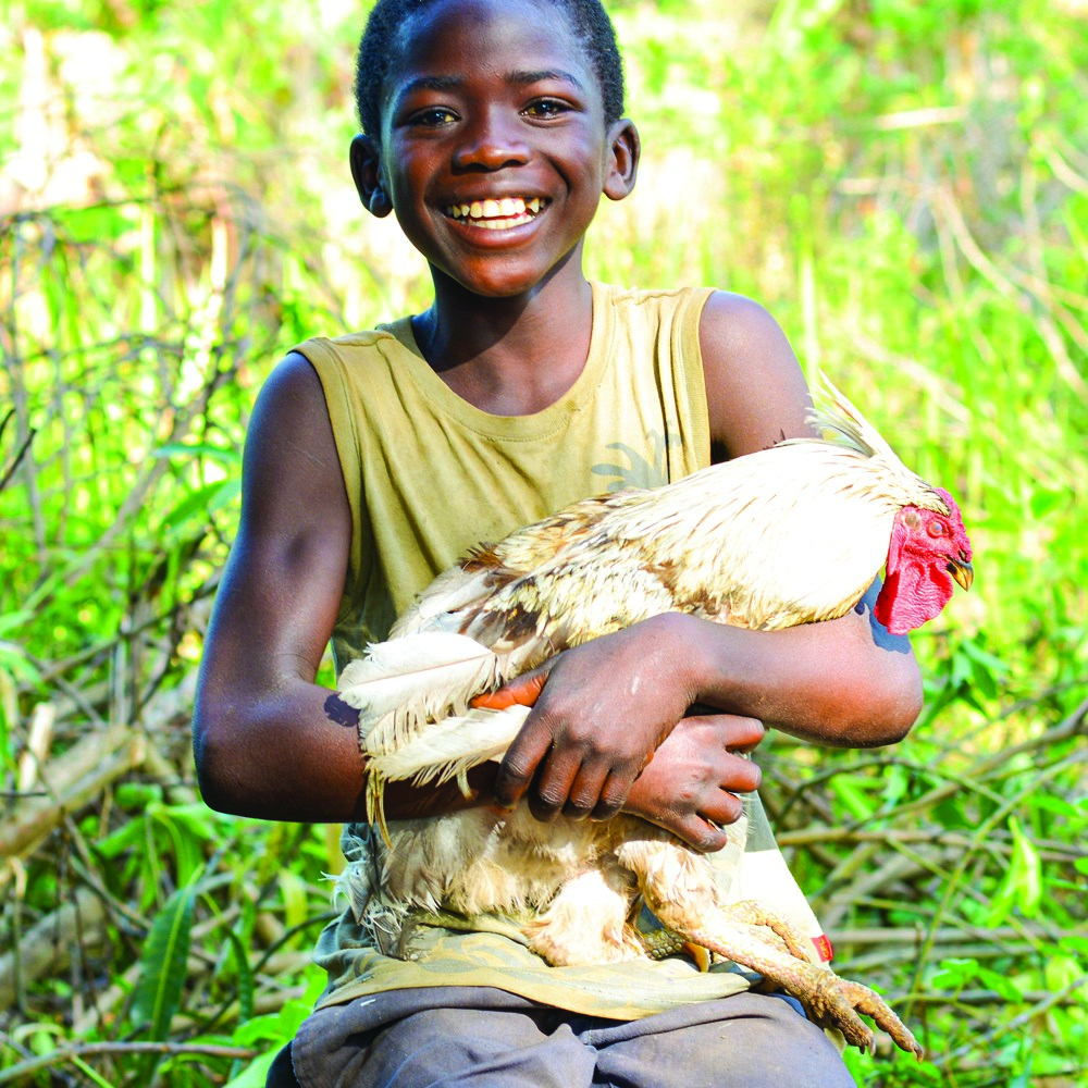 Boy with chicken
