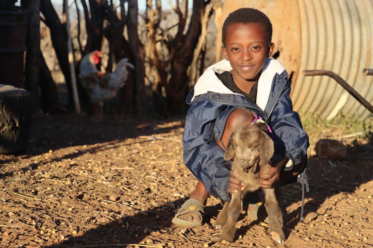 Young girl looking after her family's new goats