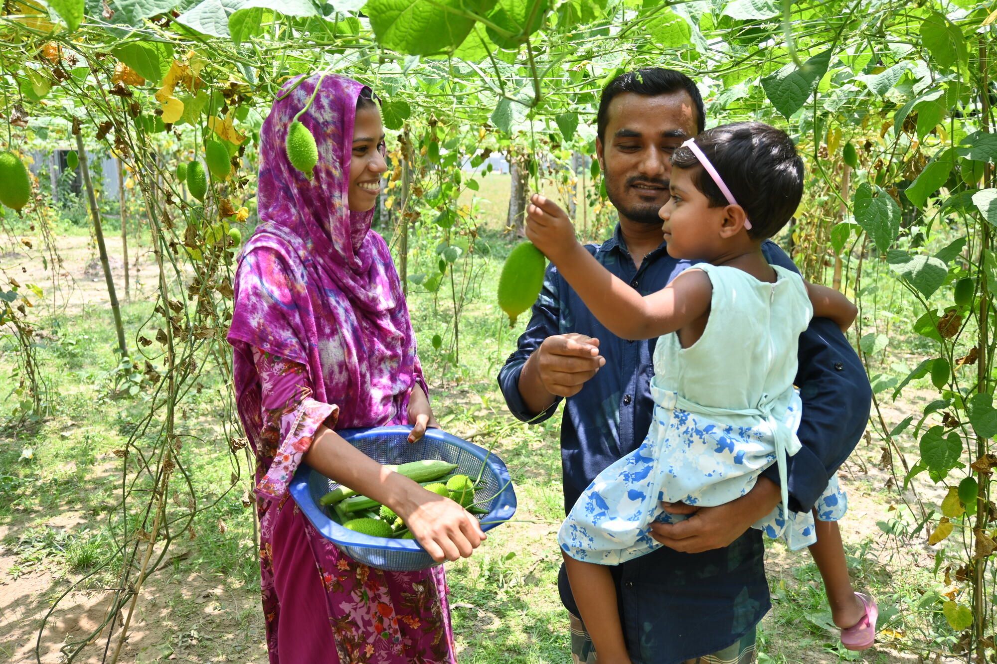 A family in Bangladesh collecting crops