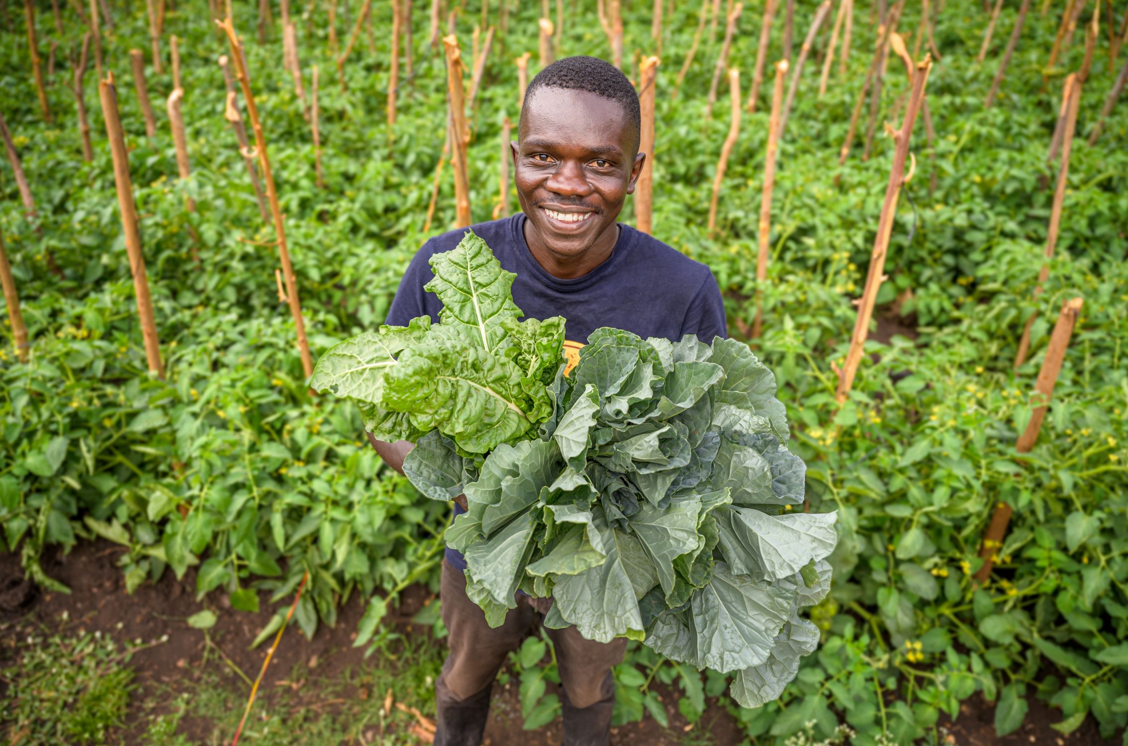 Kenyan man holding selection of crops