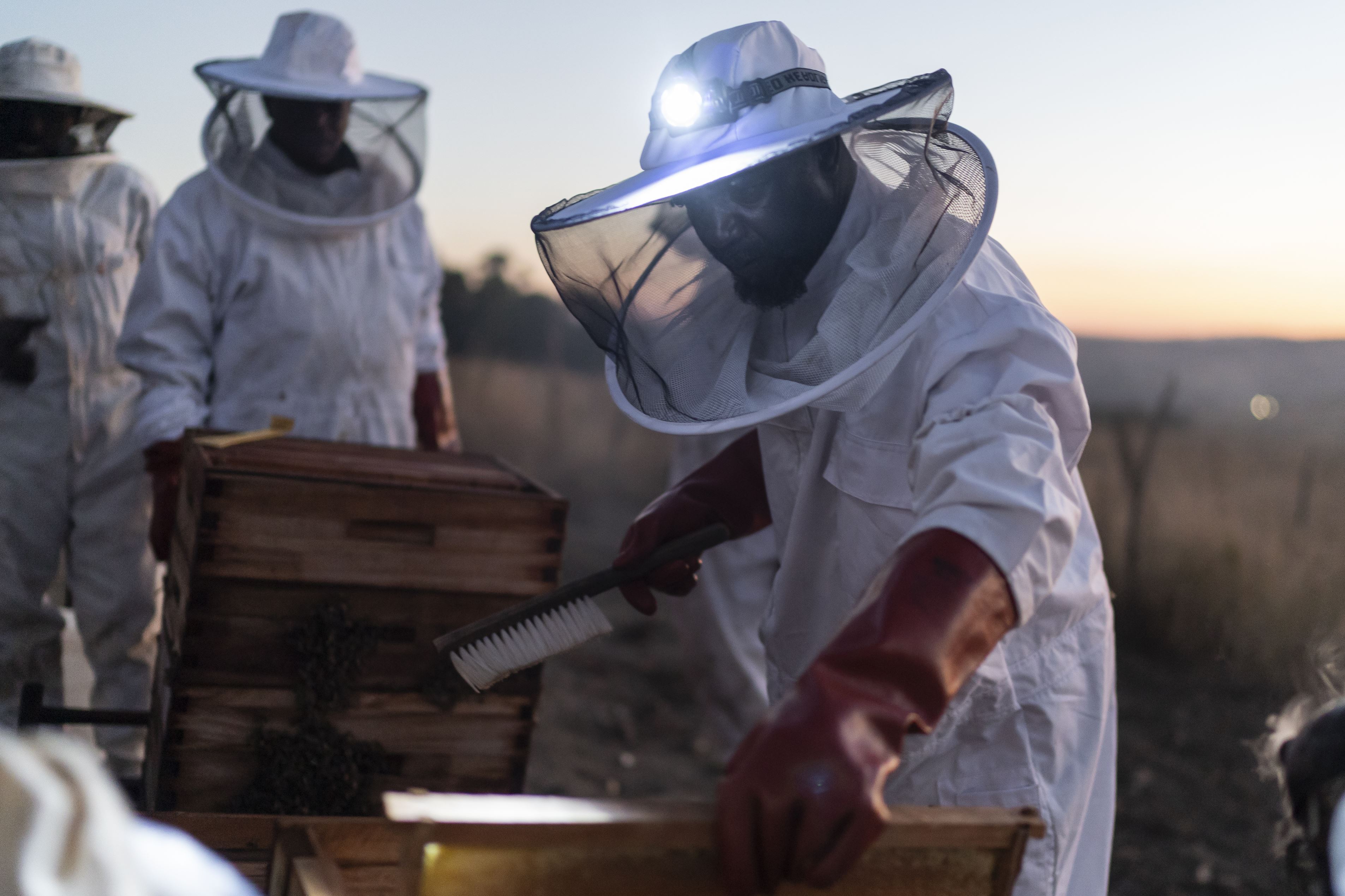 Members of a Bee Keepers Group in Eswatini (Swaziland) join together to harvest the first hives that were provided to help diversify their family incomesMembers of a Bee Keepers Group in Eswatini (Swaziland) join together to harvest the first hives that were provided to help diversify their family incomes