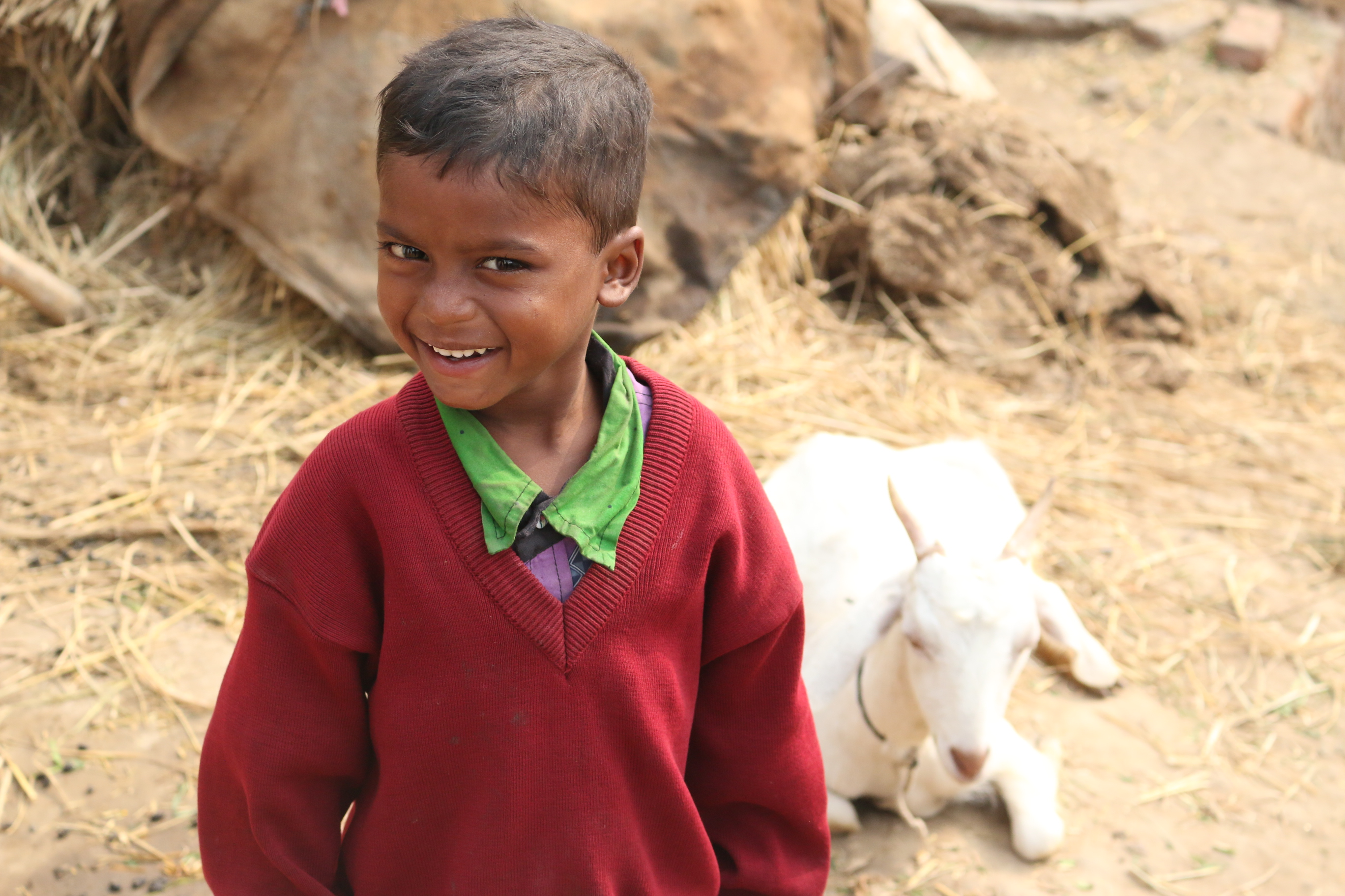 Young boy with a cheeky smile, stands in front of the family goat