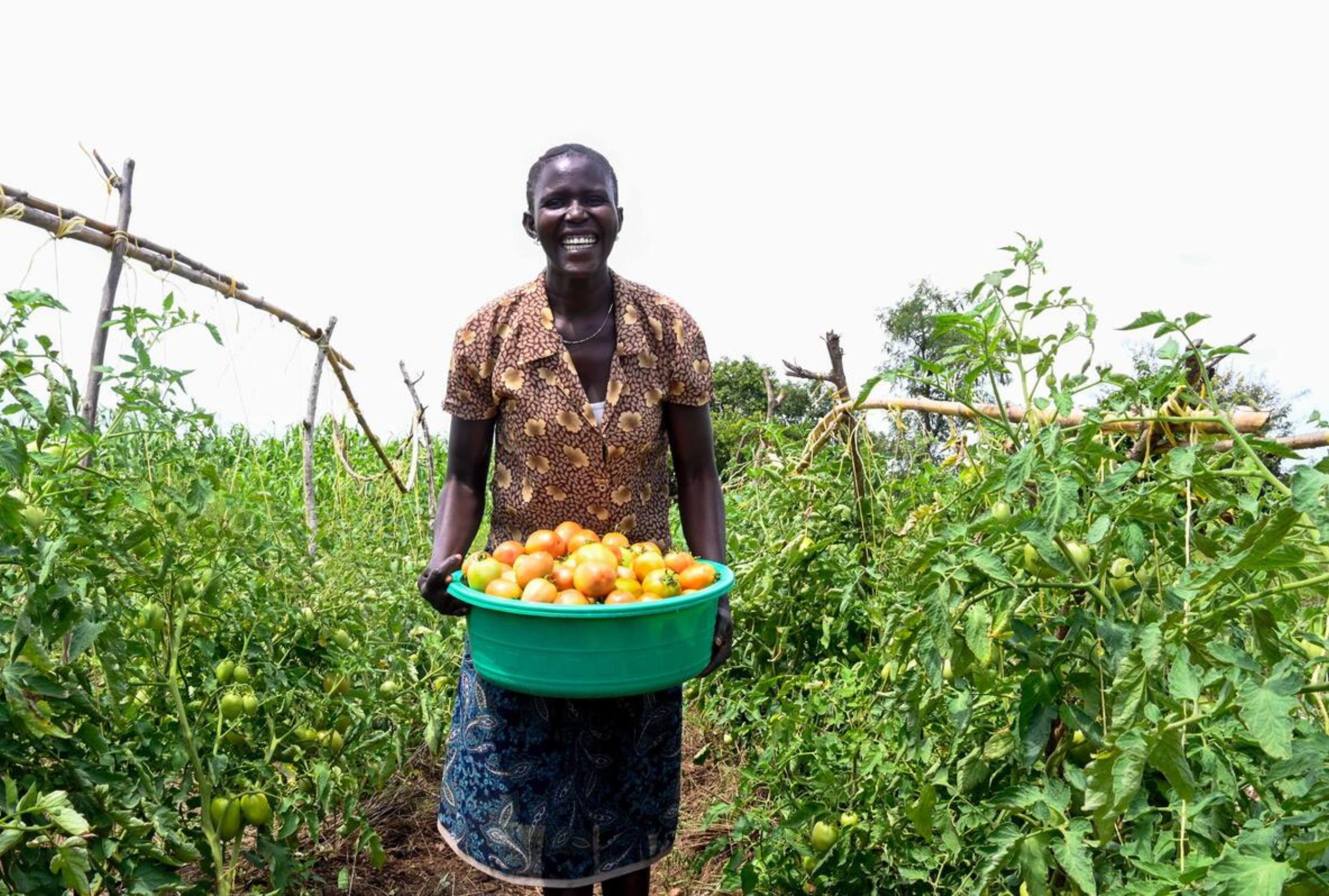 Refugee smiling while carrying a basin of freshly harvested tomatoes in Uganda