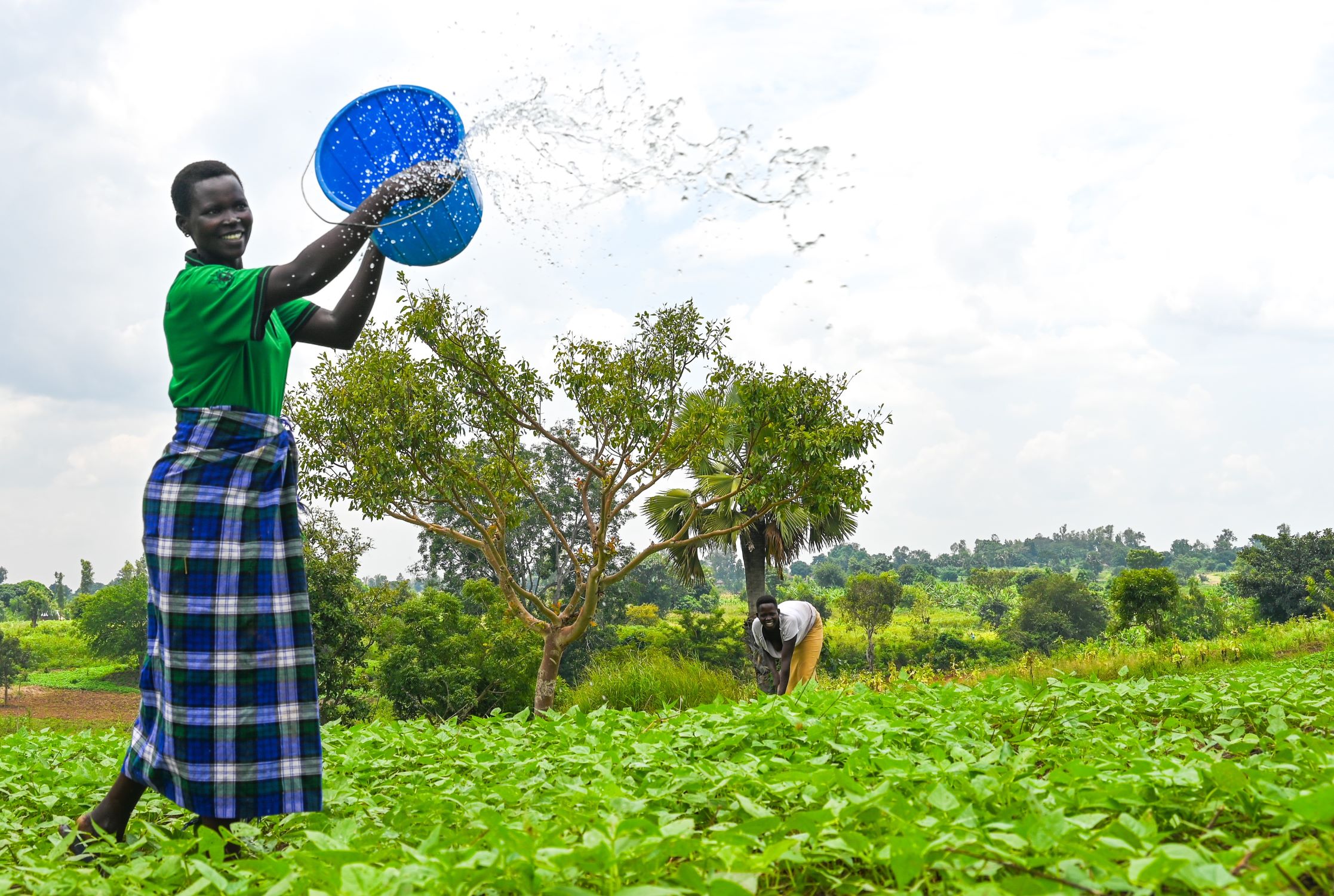 Uganda woman waters her farm