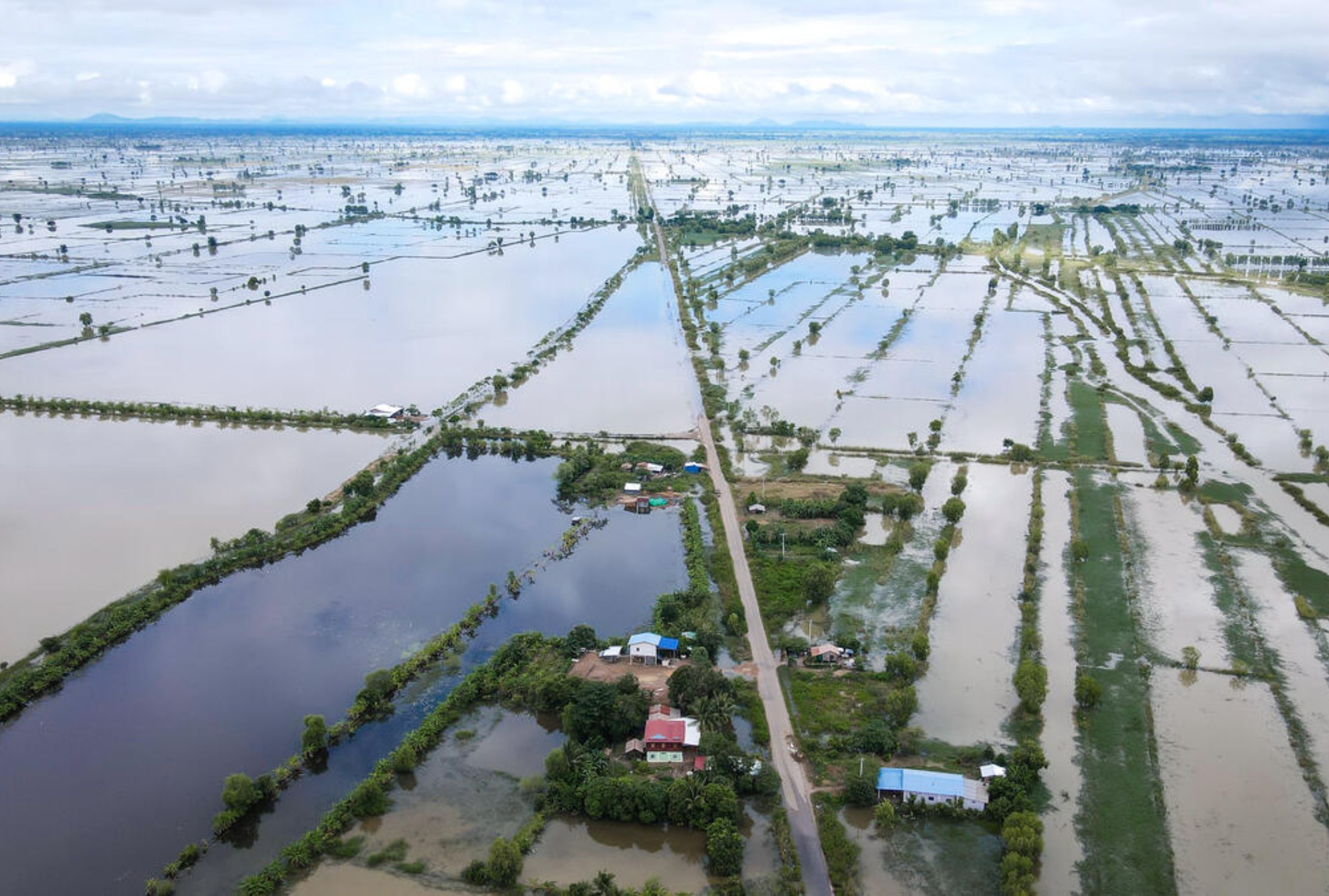 Aerial view of flooded field in Cambodia