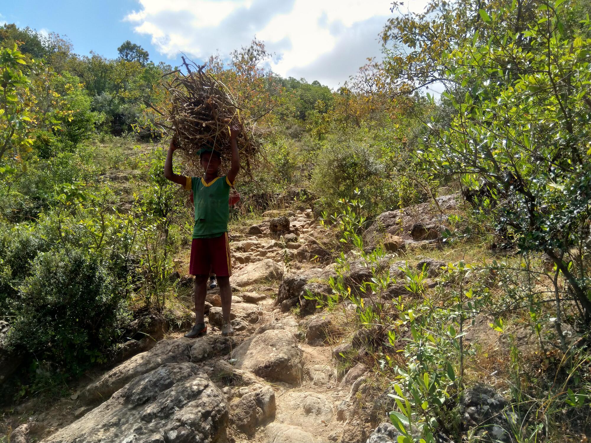 Child carrying harvest of coffee collected this year. Ready to be sold.