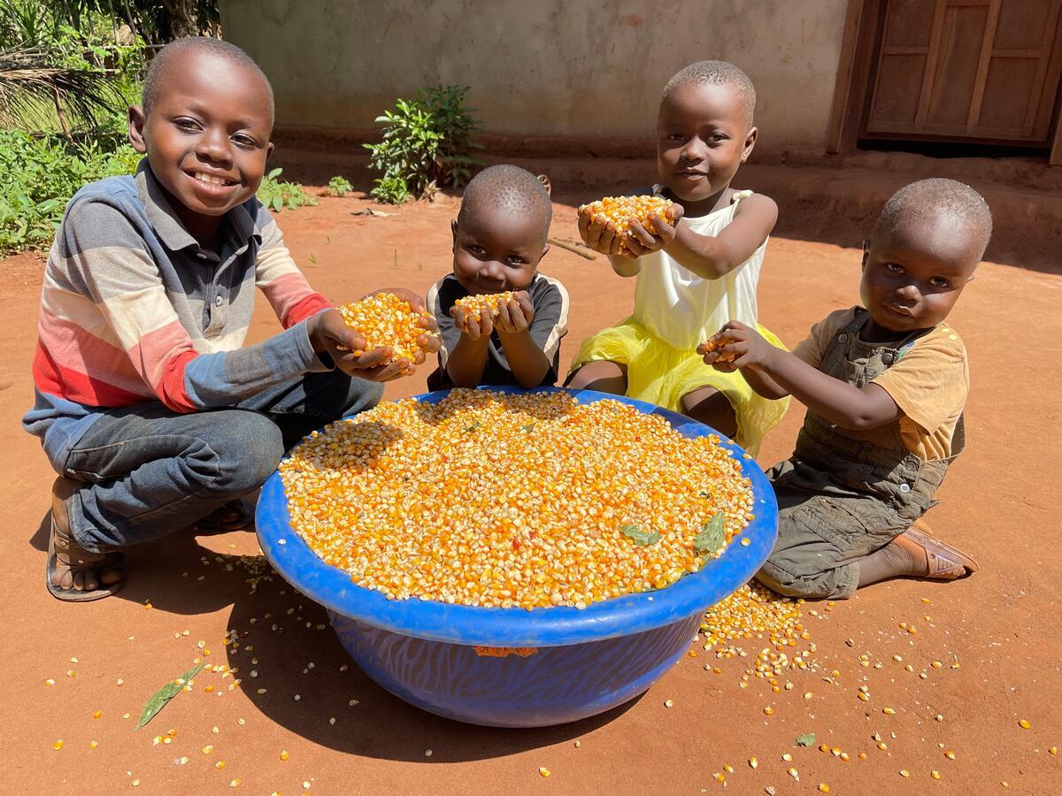 Children in DRC scooping up seeds