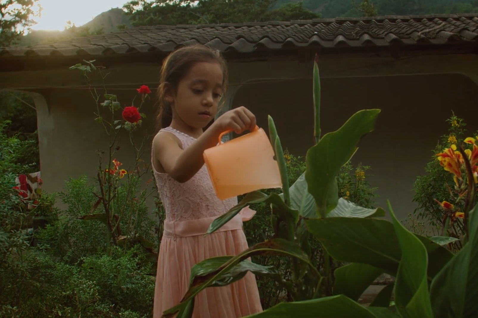 Odalis waters the plants in the family garden