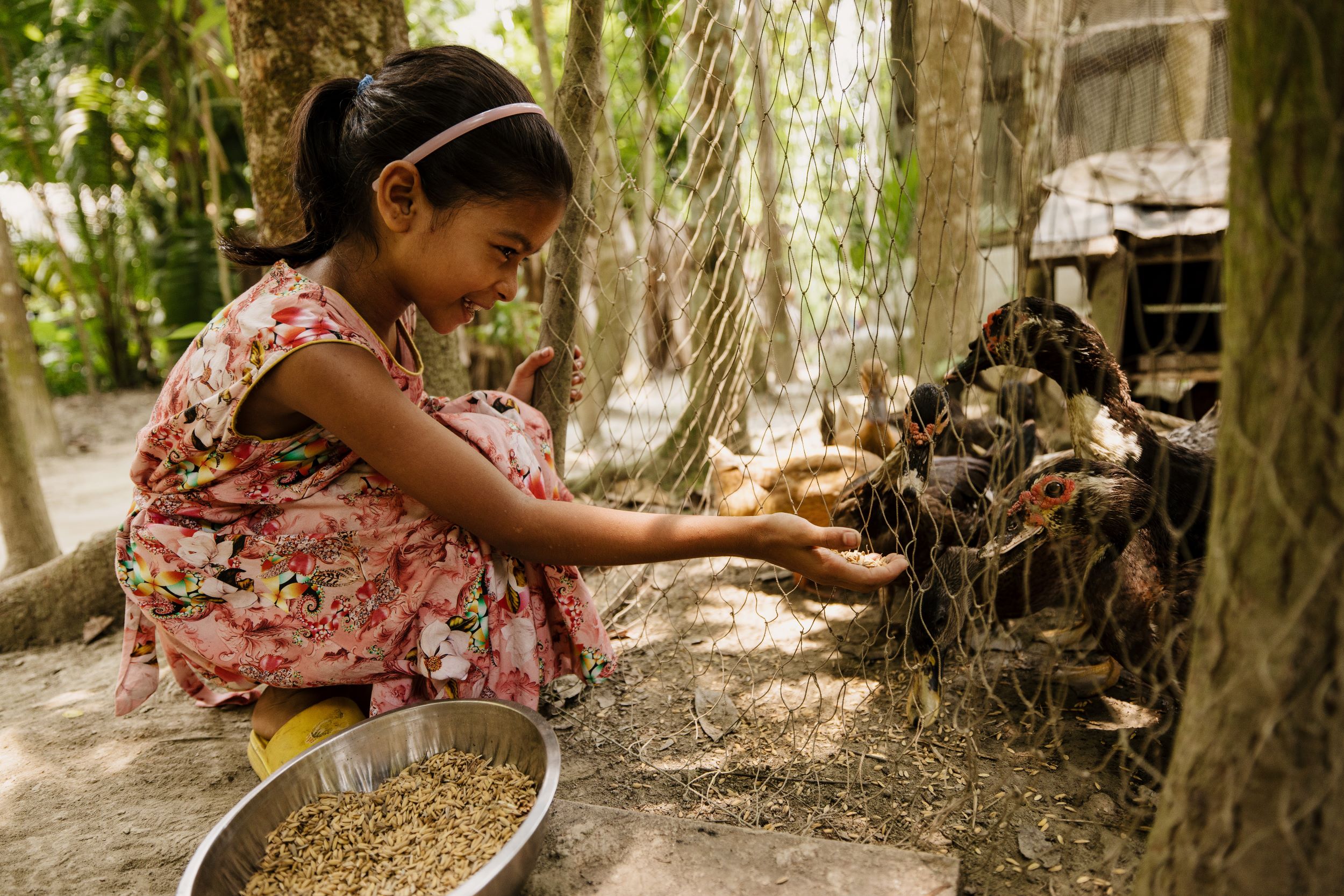 Bangladeshi girl in pink dress feeding ducks