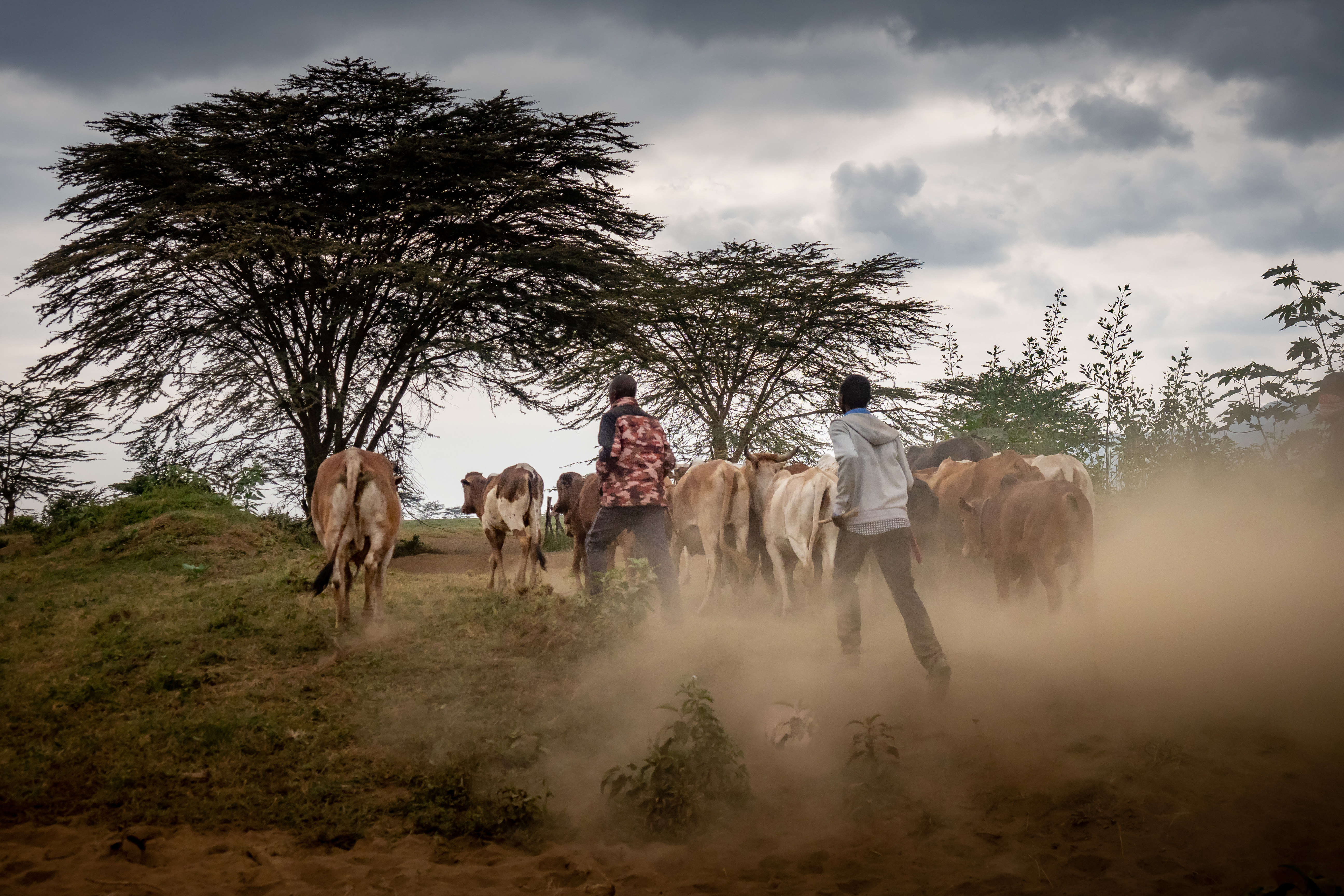 A group of people in Kenya