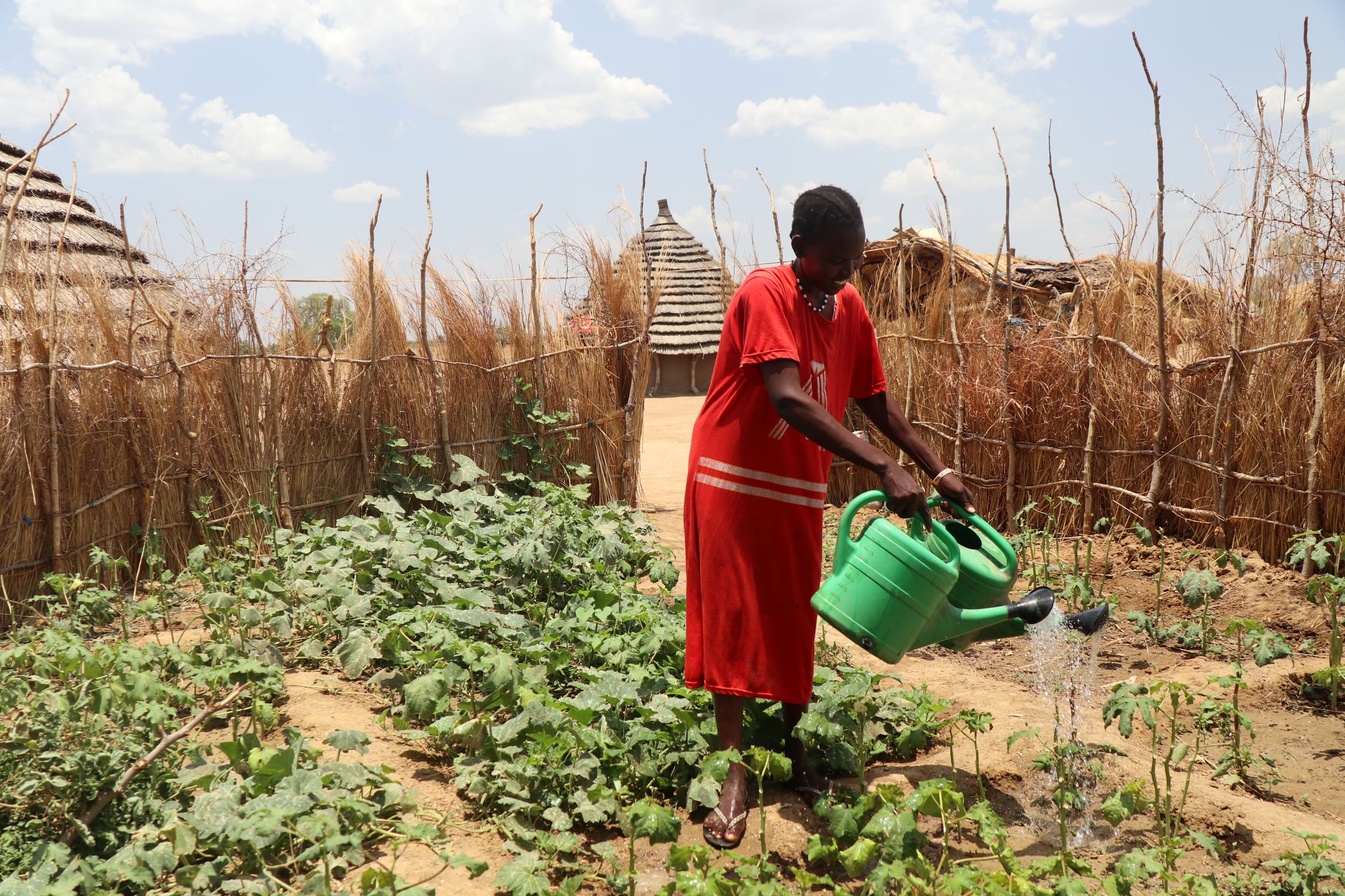 Woman watering plants
