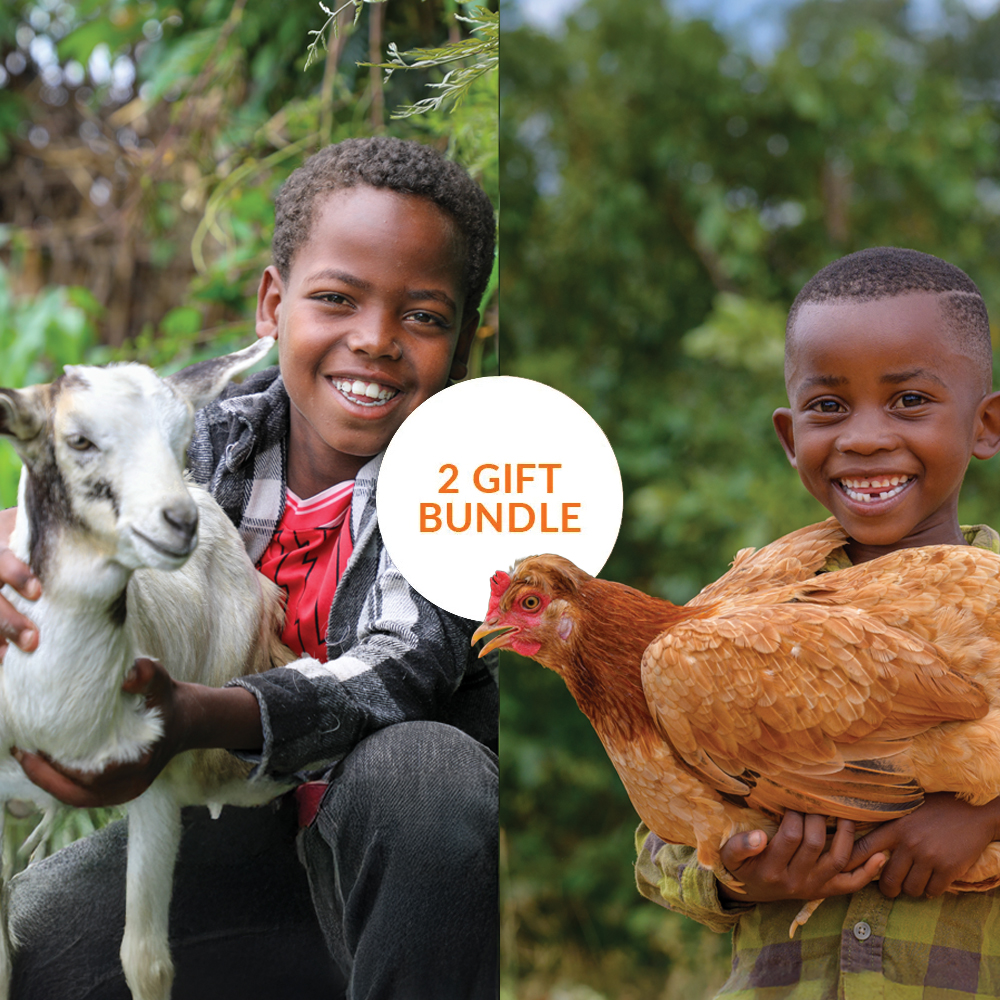 A boy holding a goat and another holding chicken