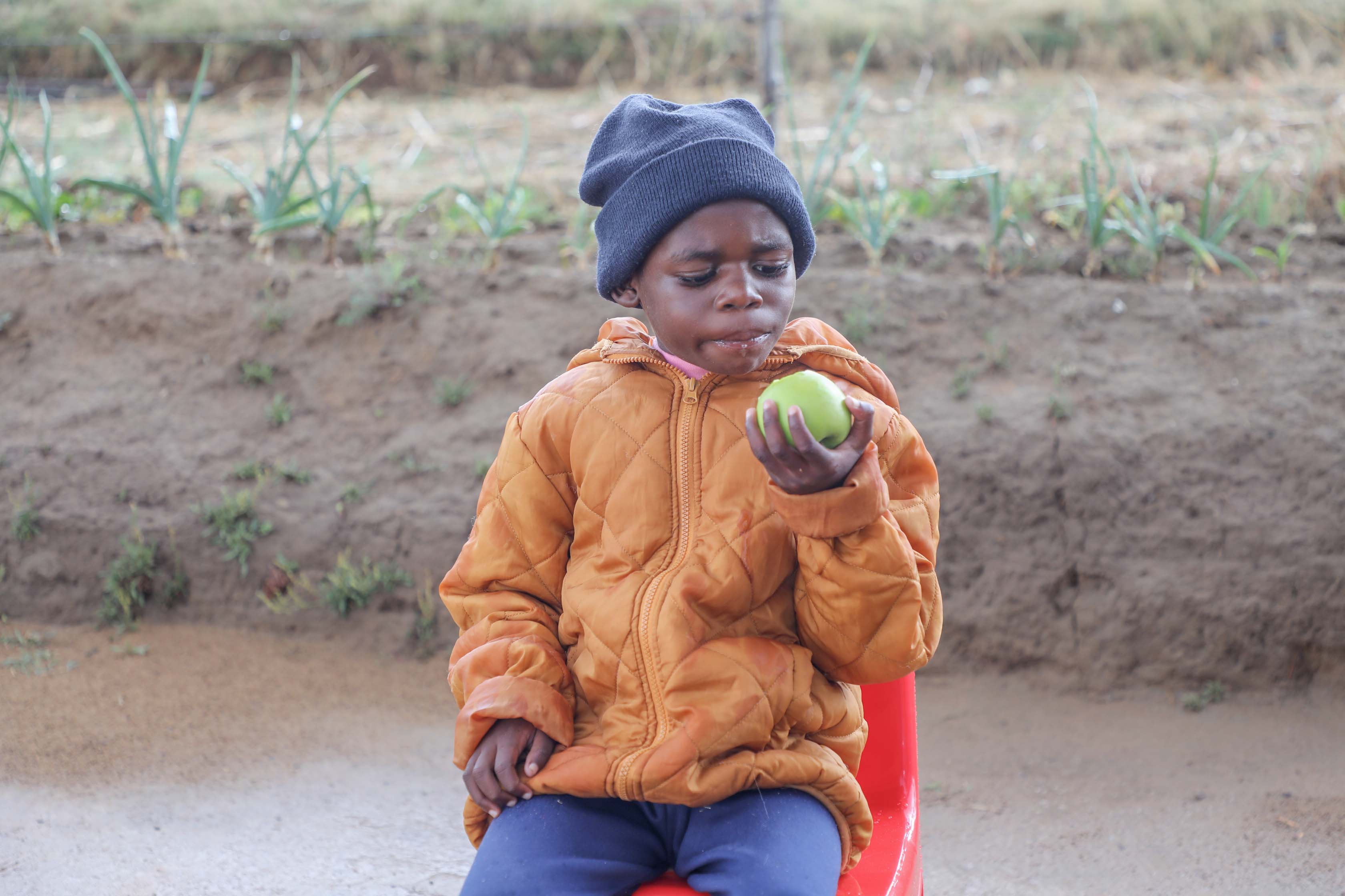 A hungry children looks down into the food bowl he's holding
