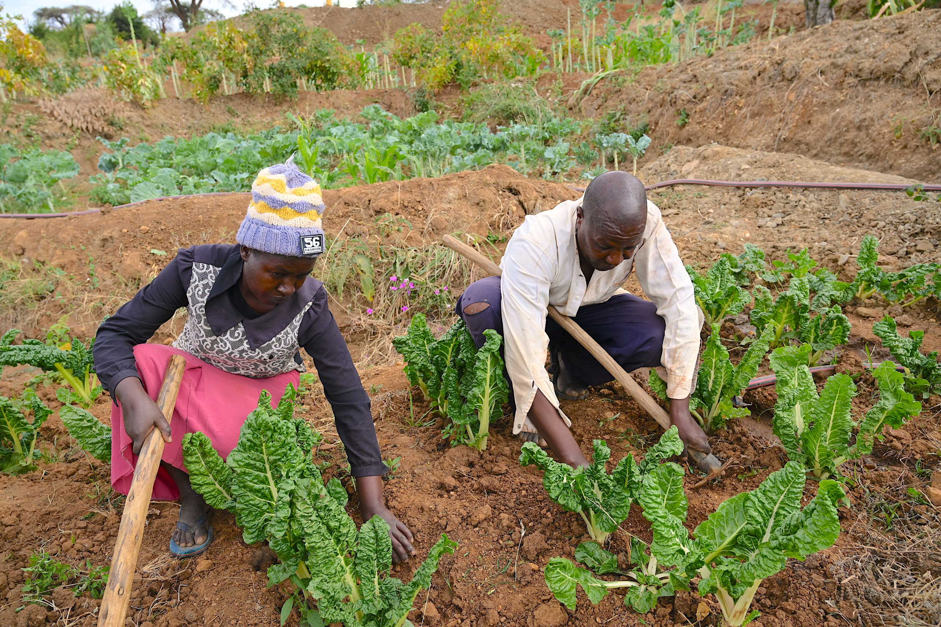 Josphat and Jeniffer cultivating their crops