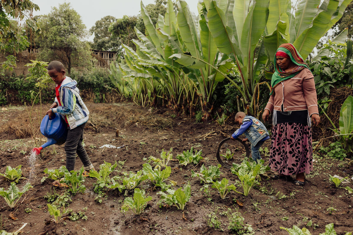Hindiya and her two boys, in Ethiopia, watering their plants.