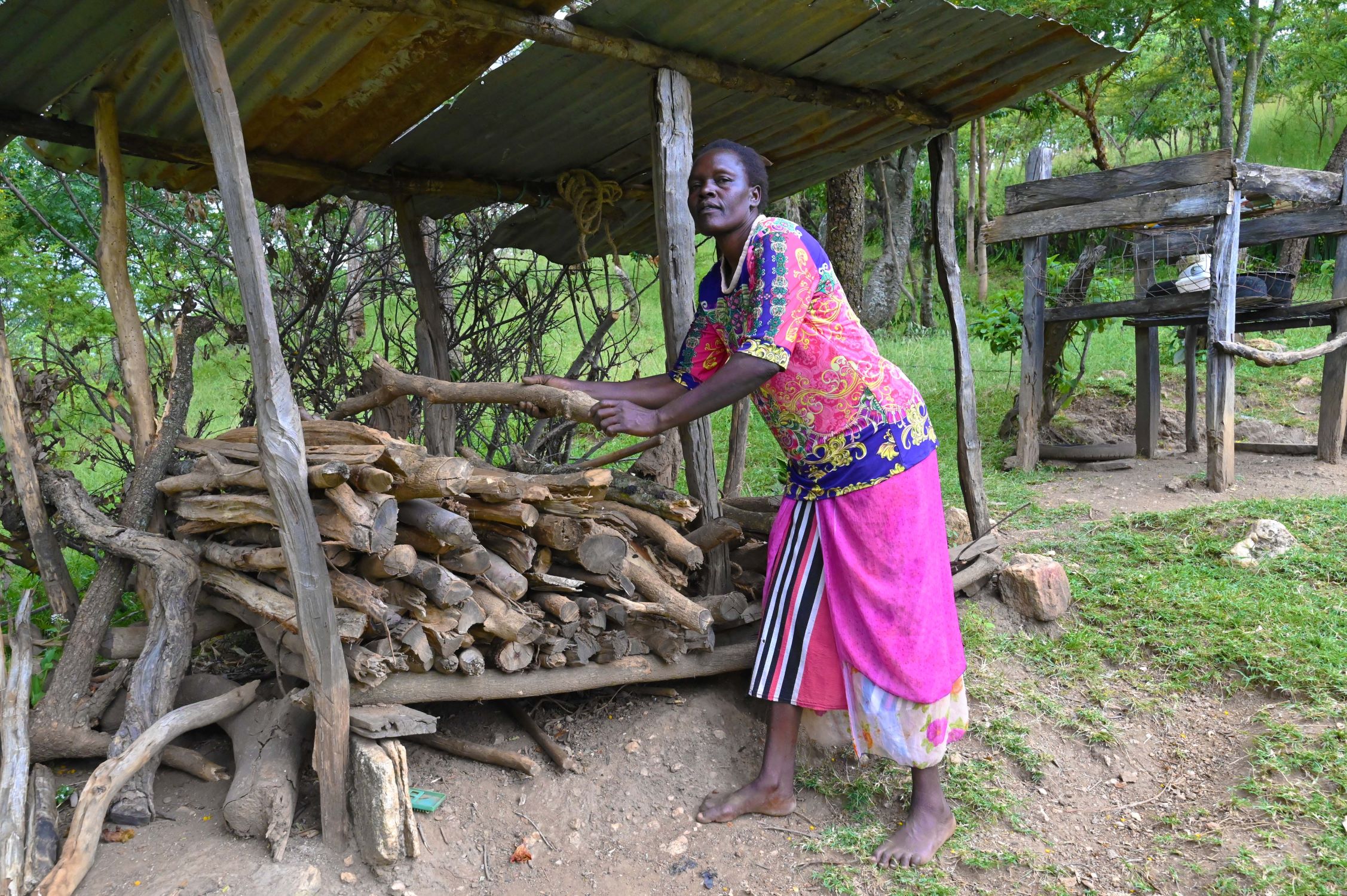 Kenyan woman arranging wood