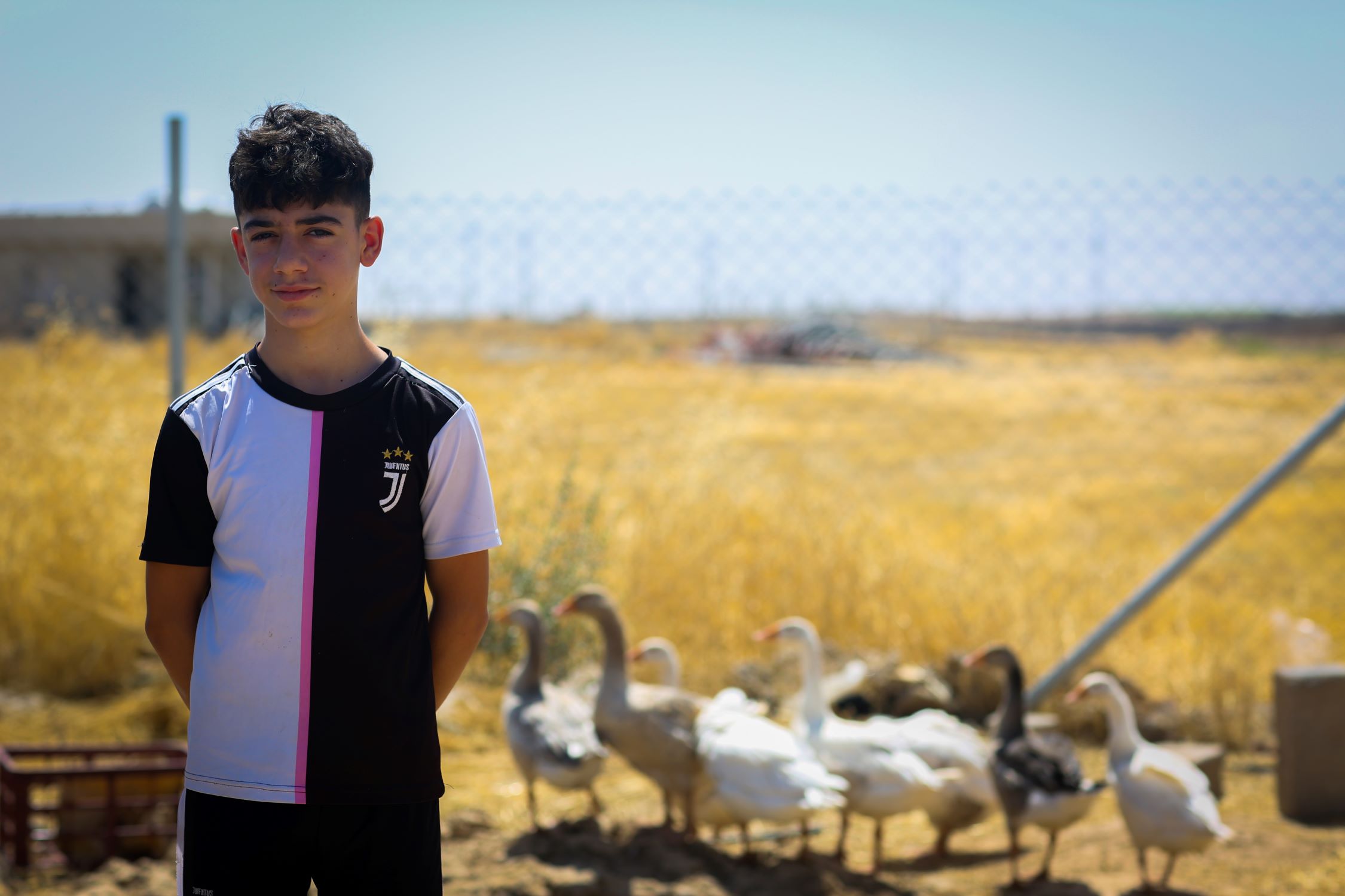 Teenage boy in Iraq with ducks and chickens
