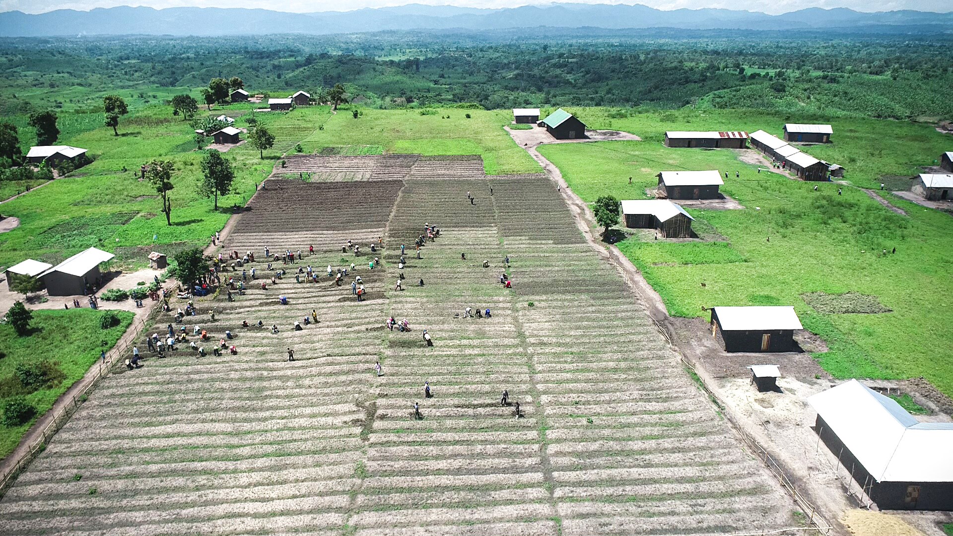 New farming techniques