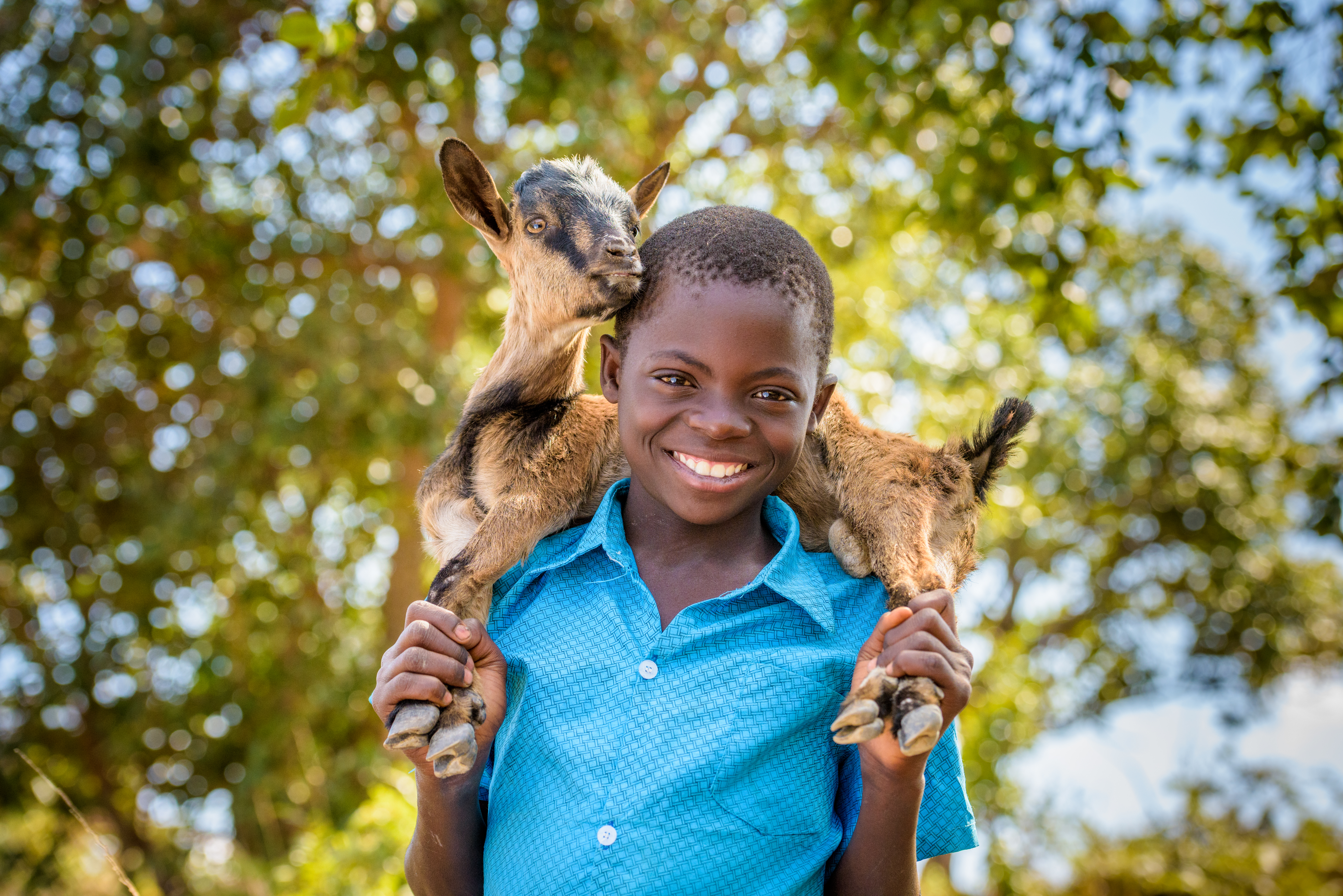 A boy smiles and holds his family goat