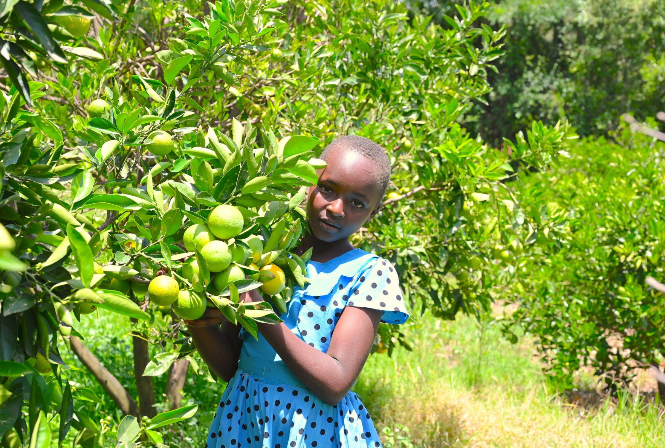 Kenyan girl standing next to an apple tree