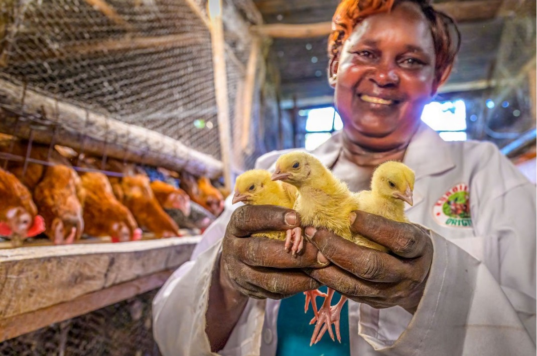 Kenyan woman with chicks and chickens