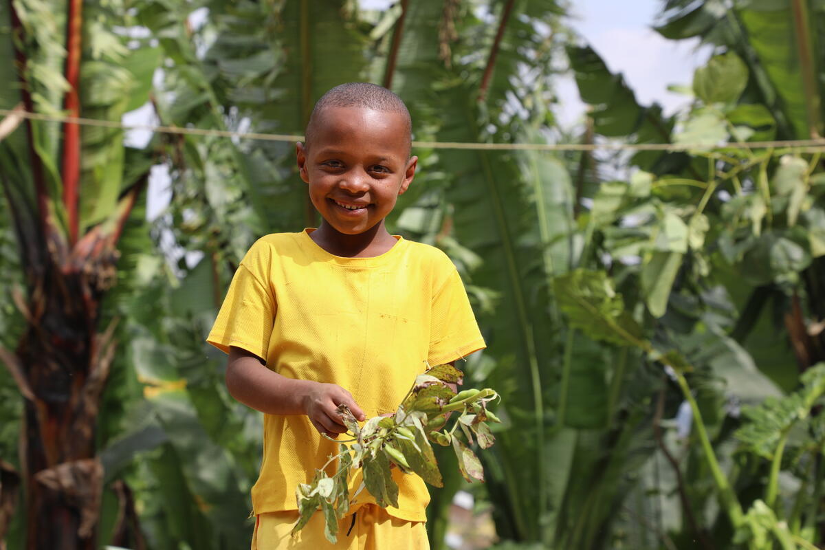 A young boy wearing a yellow shirt holds some plants in a field of crops they have grown in Ethiopia
