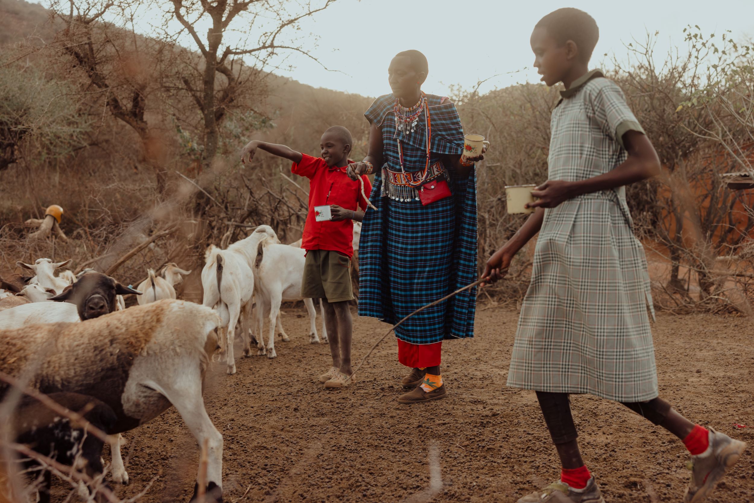 Boy and girl with their mother, tending to their family goats, Kenya