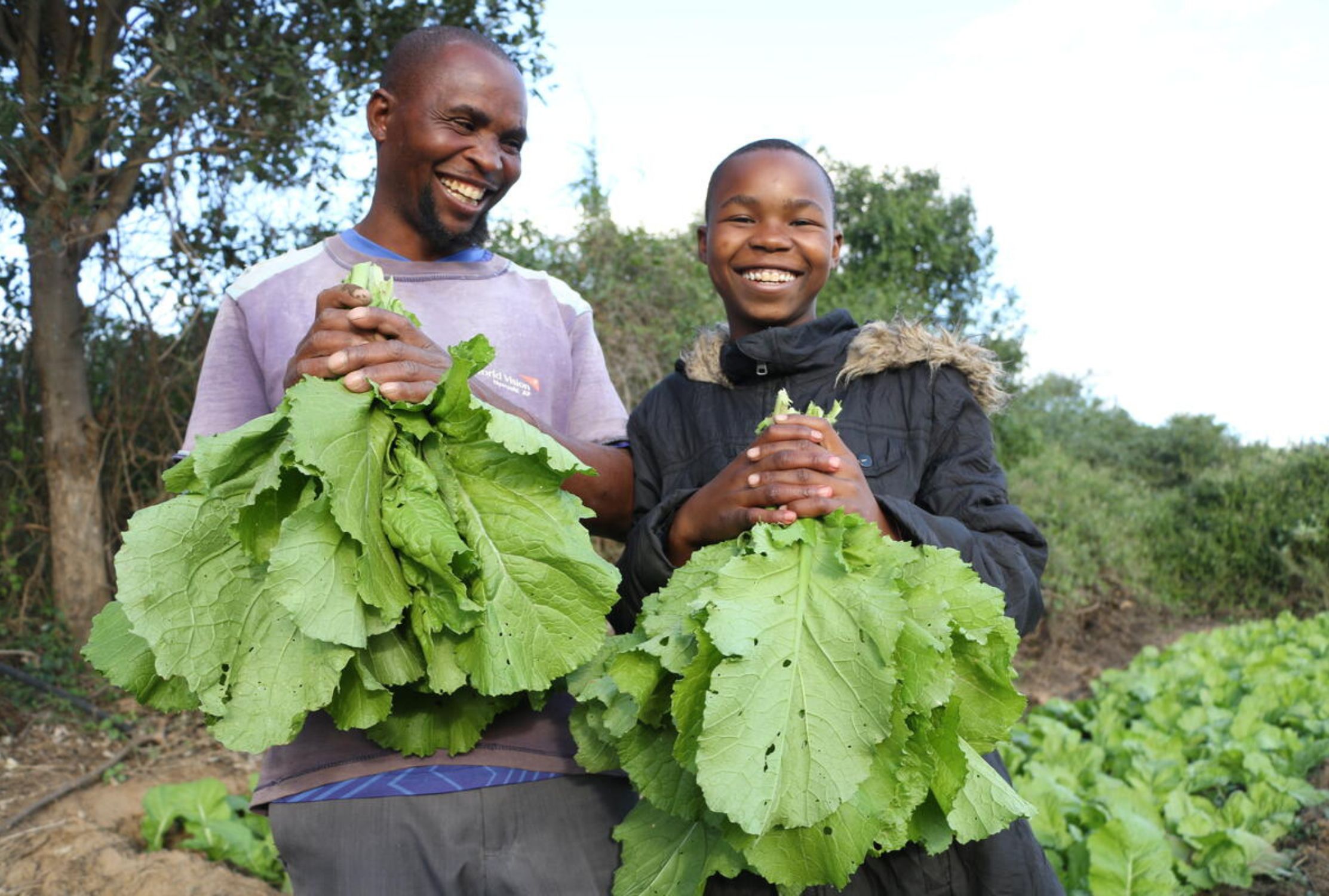 Father and son smiling while holding salad leaves they have harvested